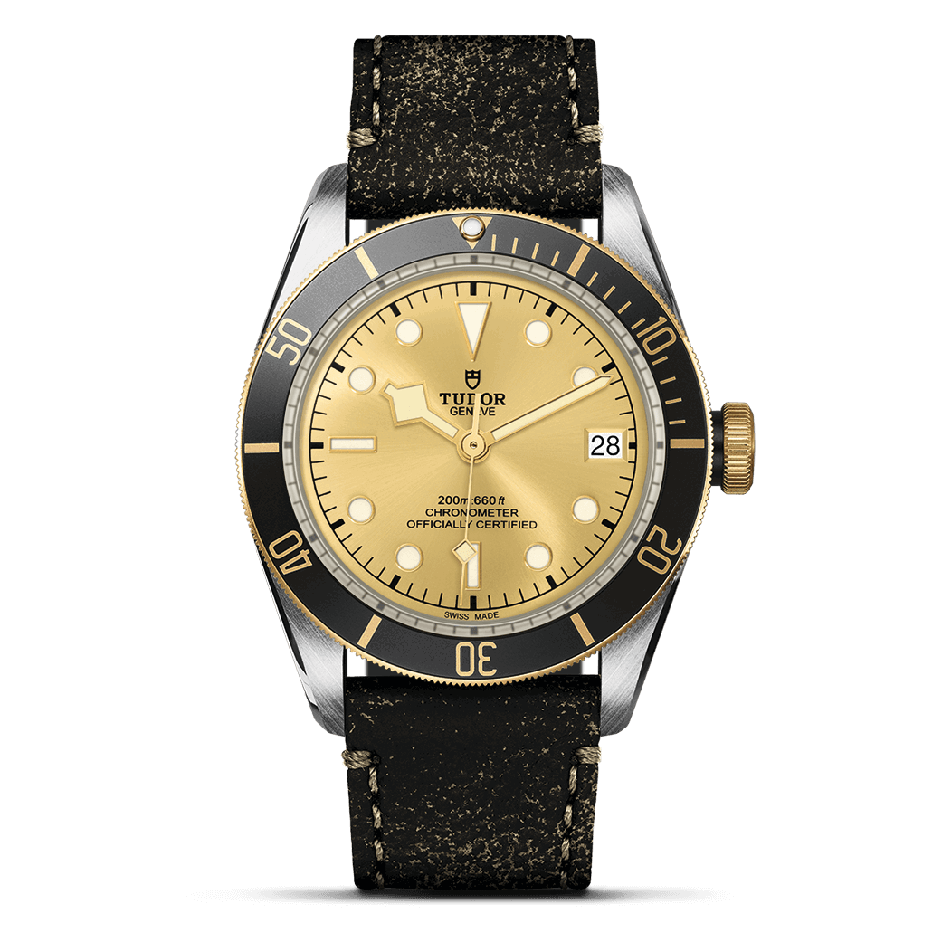 TUDOR Black Bay Date S&G