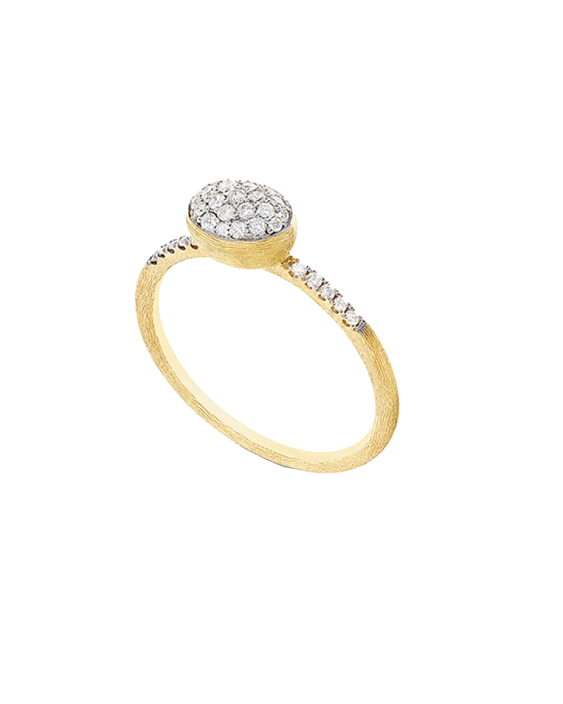 Nanis Ring Dancing ELITE