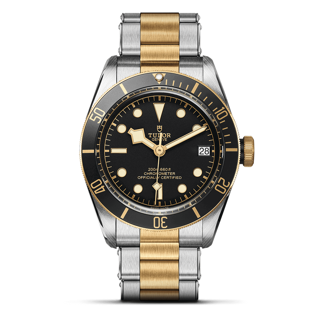 TUDOR Black Bay Date S&G