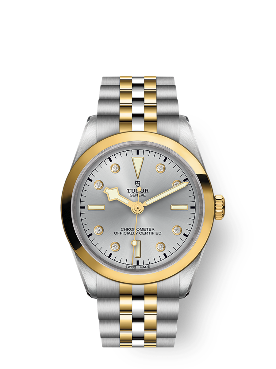 TUDOR Black Bay 36 S&G