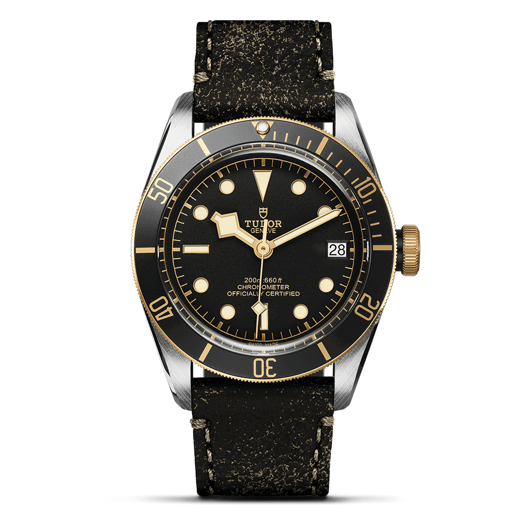 TUDOR Black Bay S&G 41mm