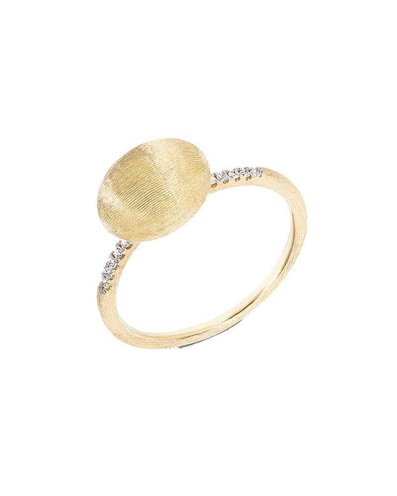 Nanis Ring Dancing ELITE
