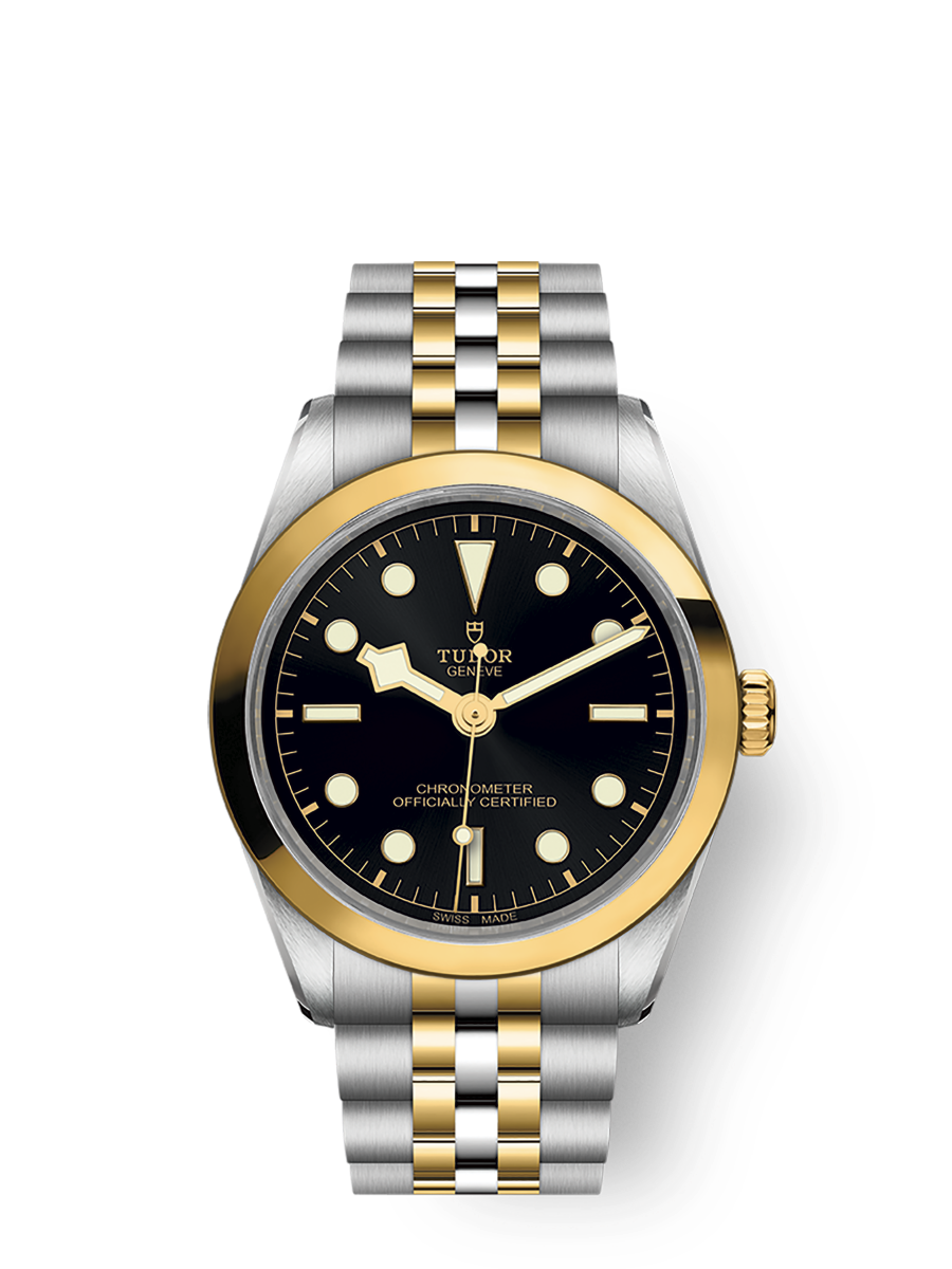 TUDOR Black Bay 36 S&G