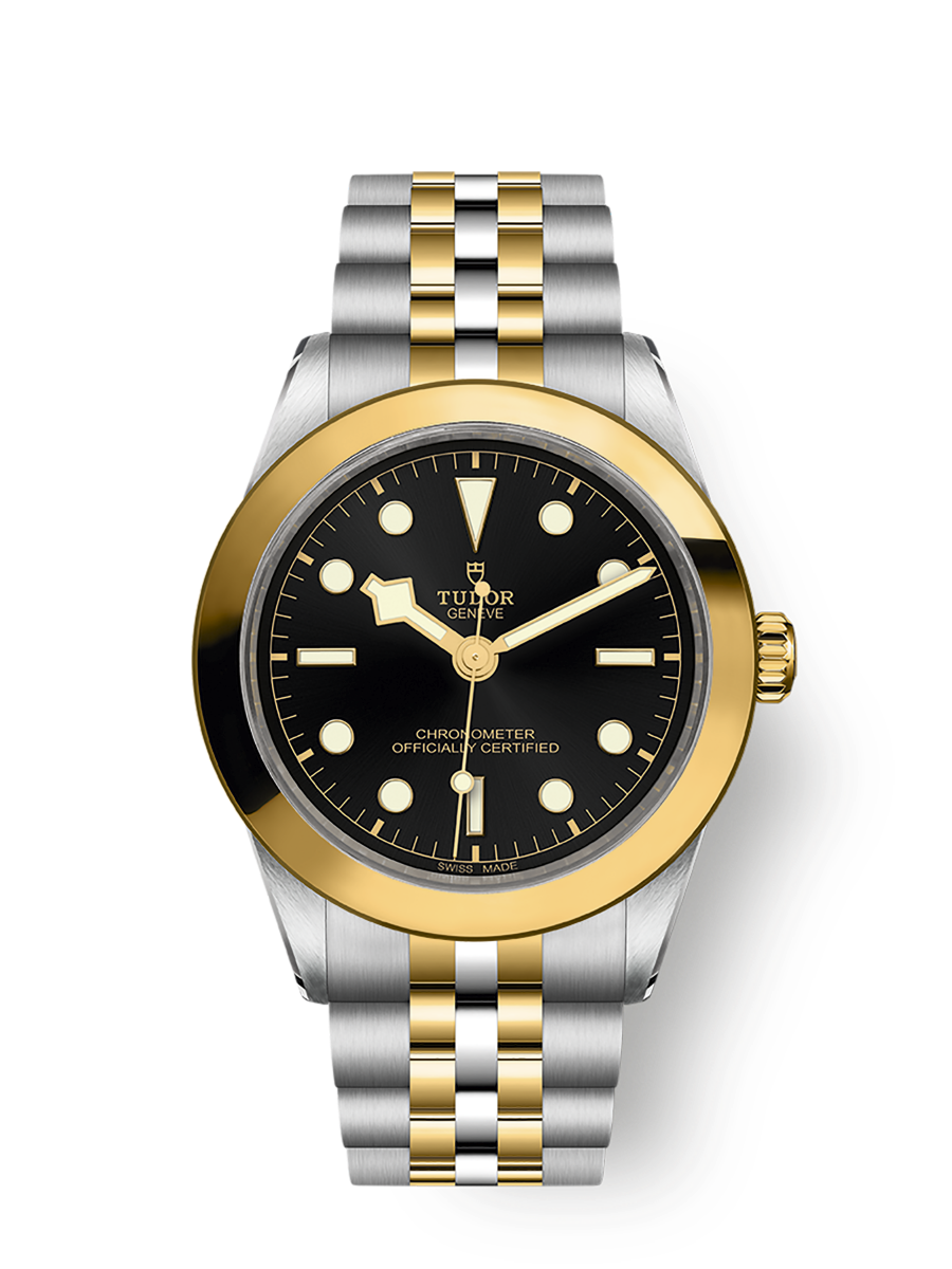 TUDOR Black Bay 39 S&G