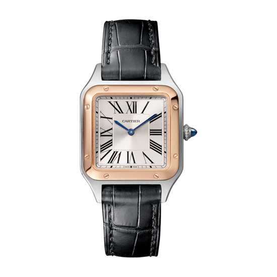 Santos-Dumont de Cartier