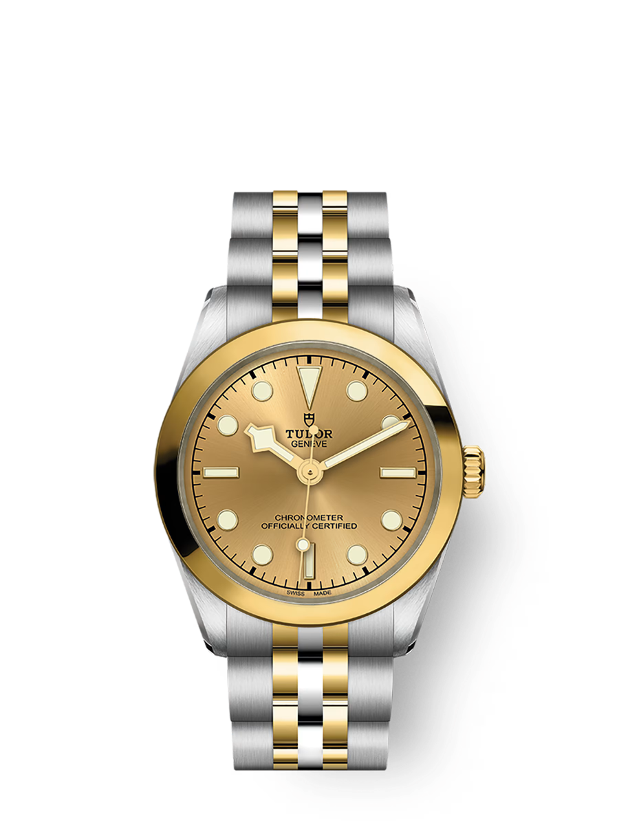 TUDOR Black Bay 31 S&G
